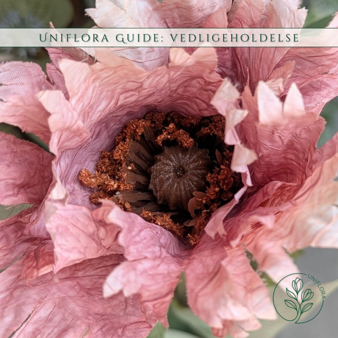 Sådan plejer og vedligeholder du dine evighedsblomster – 4 ærlige råd til en lang levetid