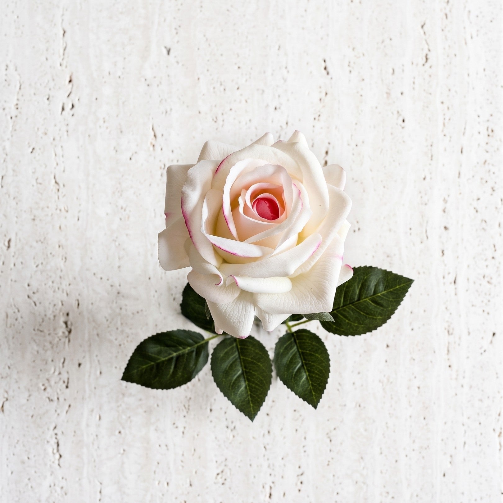 Solo Evighedsblomster