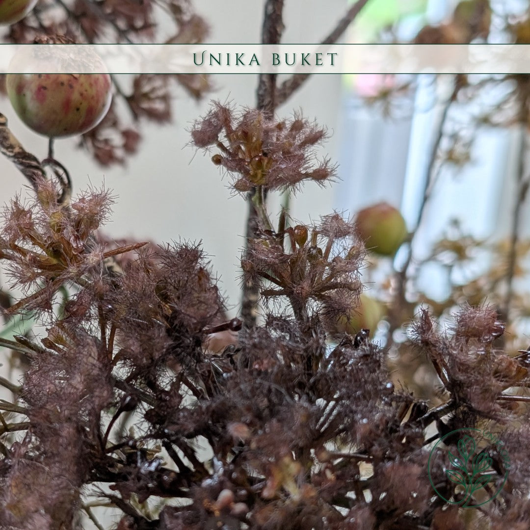 Unika 26.41: Skovbrynets Dyb