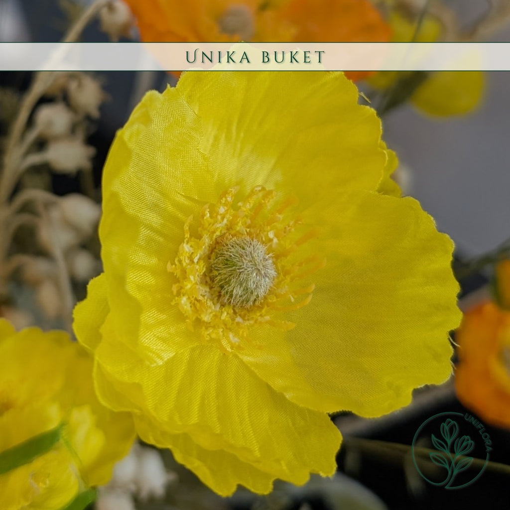 Unika 26.43: Rav & Solskin