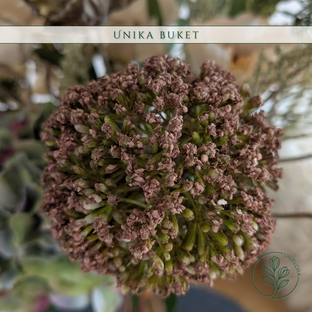 Unika 26.53: Rolig Flora