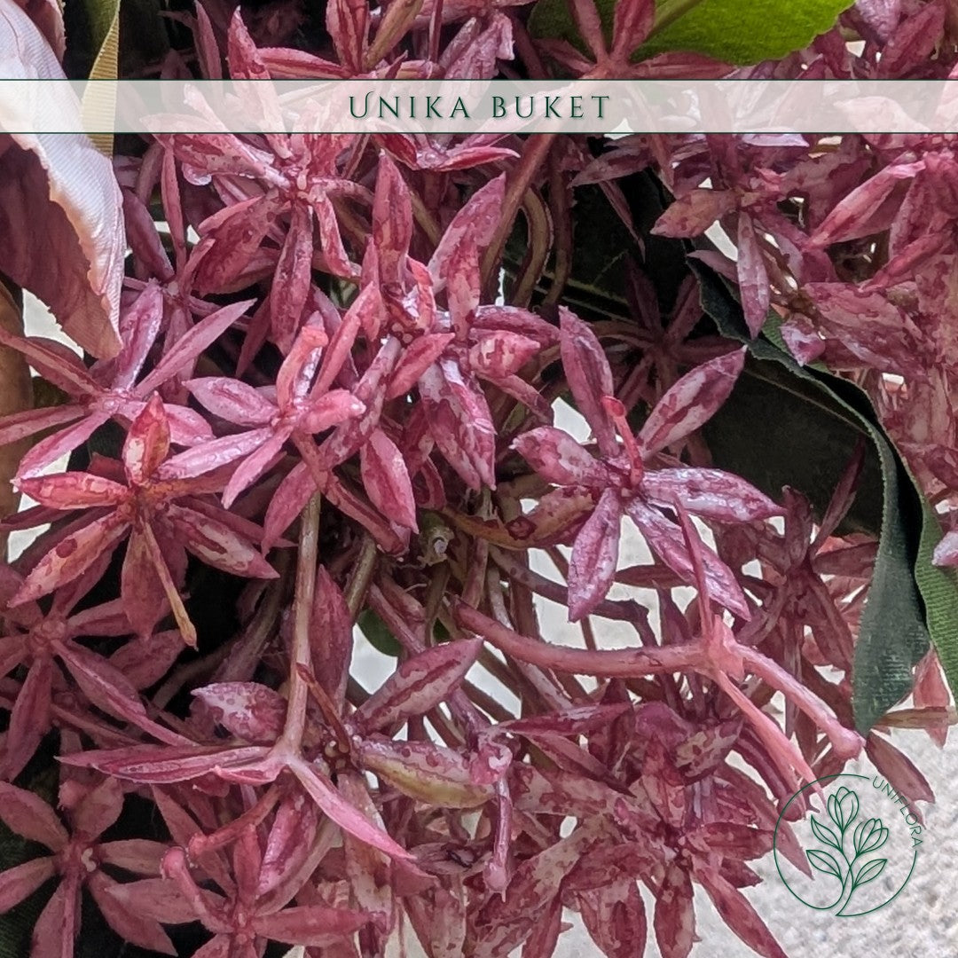 Unika 26.67: Rosa Kys