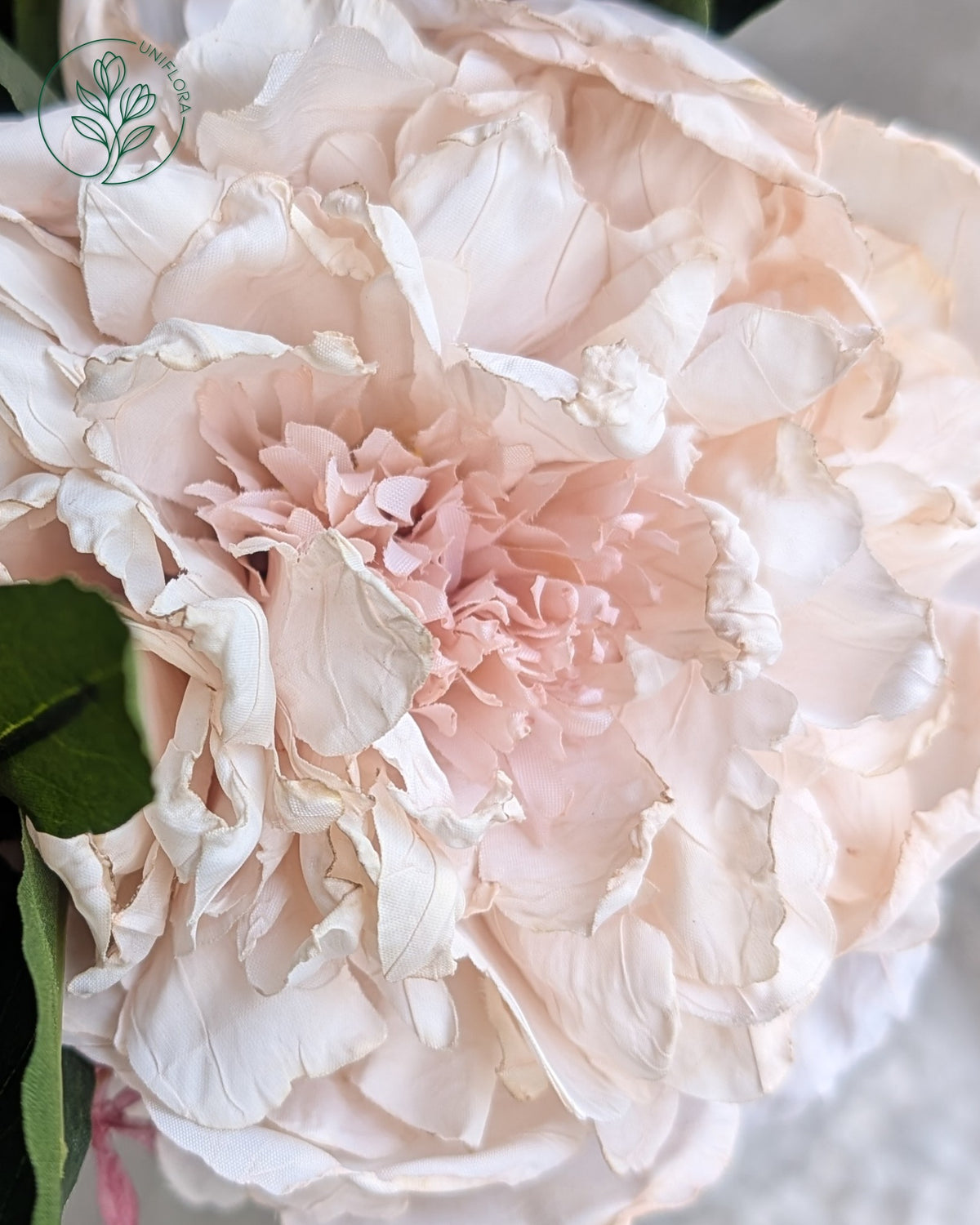 Unika 26.67: Rosa Kys