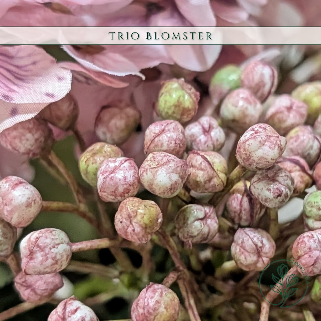 Trio Unika 26.92 – Rosa Harmoni