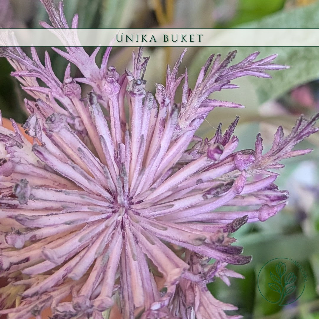 Unika 26.106: Skyggebrise