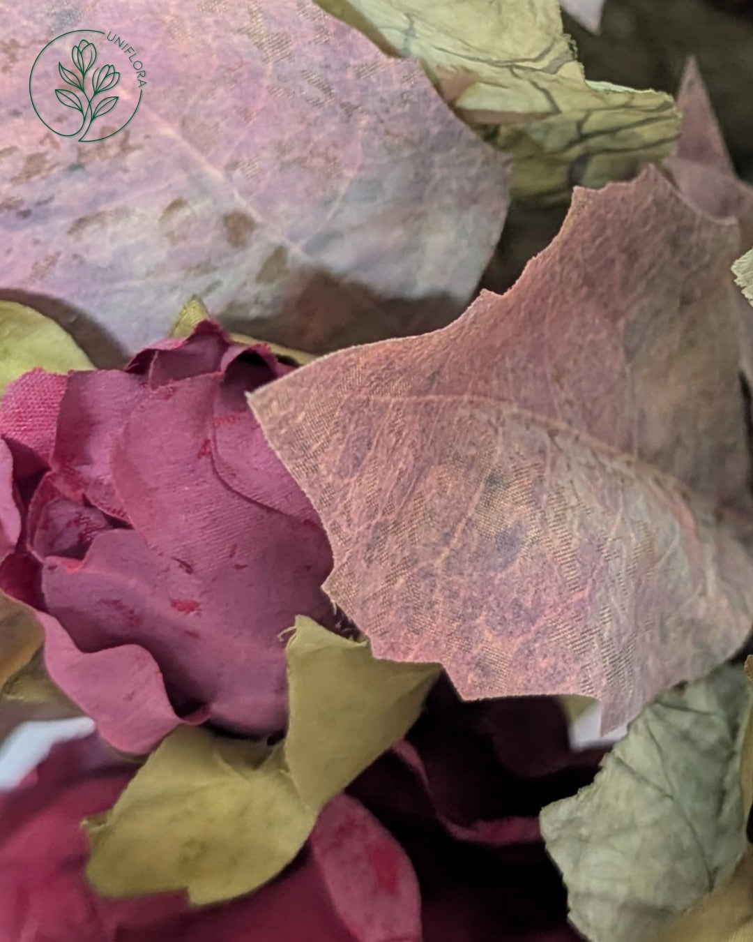Unika 26.116: Stille Favntag