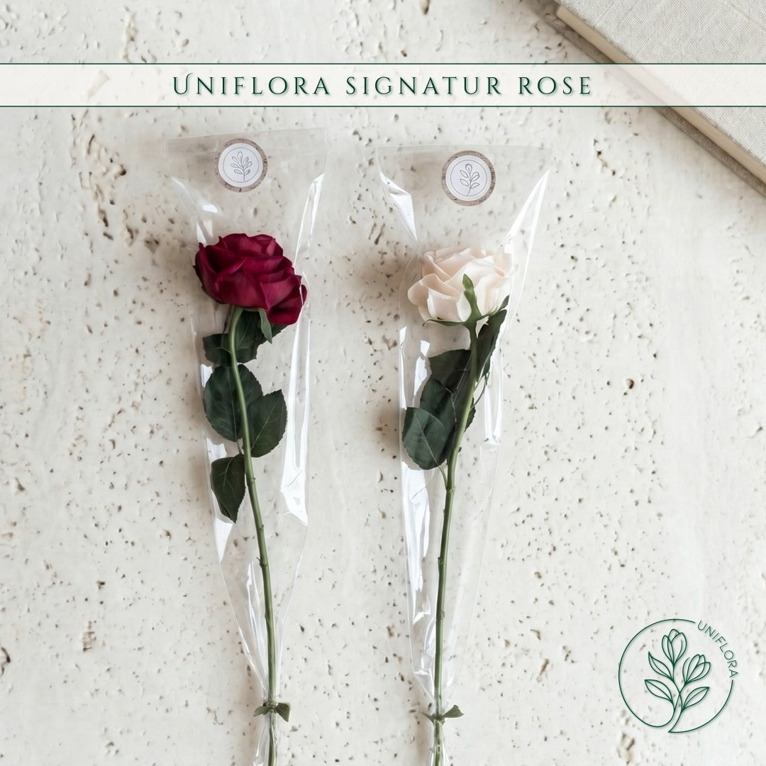 Uniflora Signatur Rose