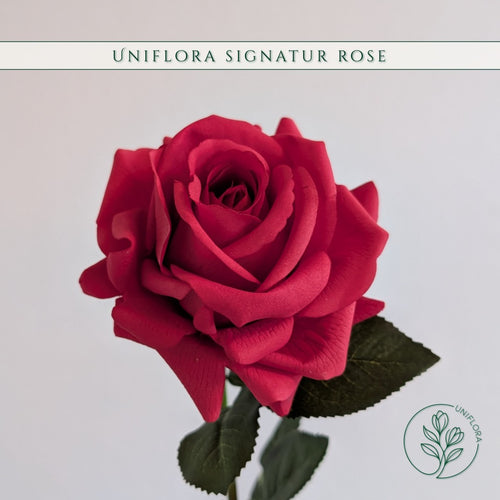 Uniflora Signatur Rose