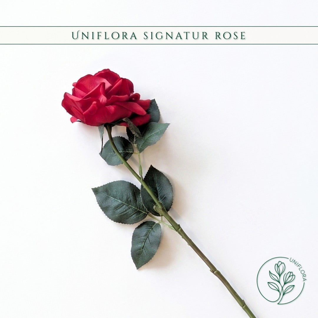 Uniflora Signatur Rose