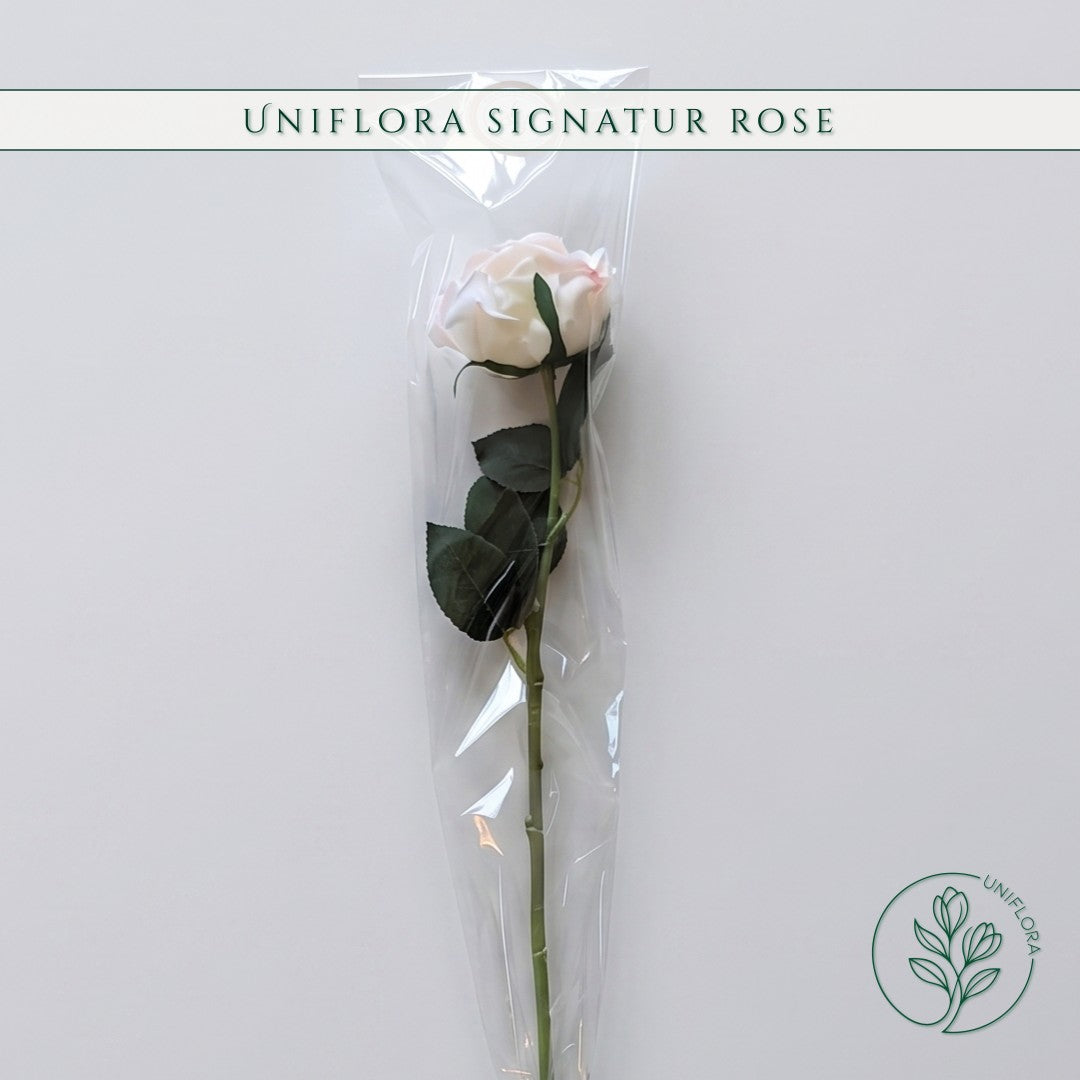 Uniflora Signatur Rose