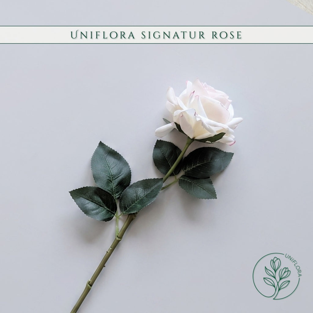 Uniflora Signatur Rose