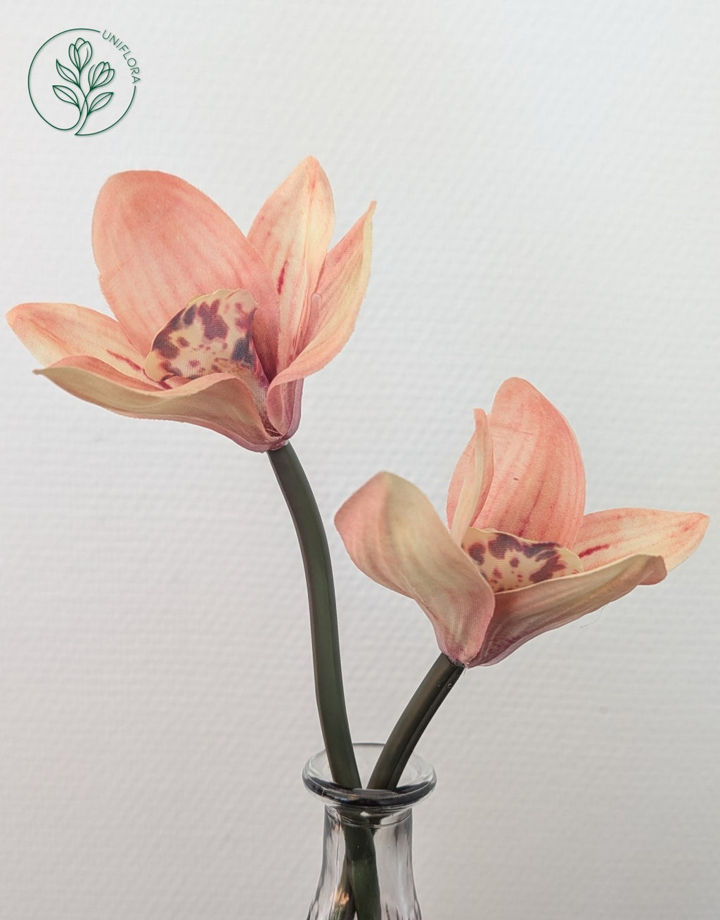 Fersken Orkidéer & Spir Vase