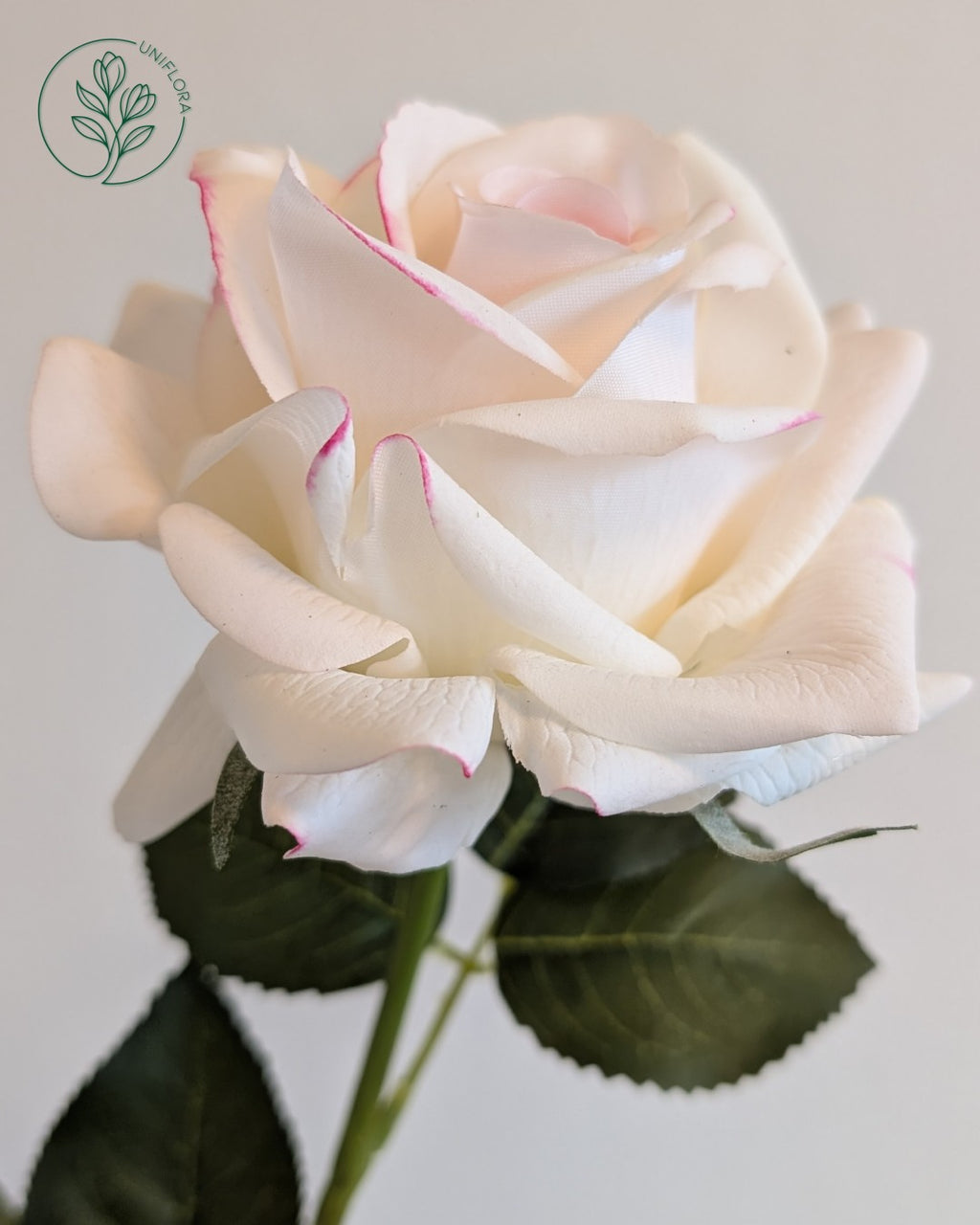 Uniflora Signatur Rose (Real Touch) - Hvid med strejf af rød