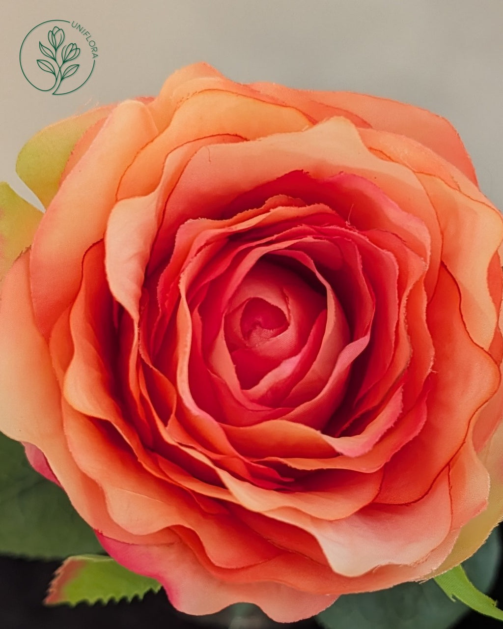 Solo Orange Rose