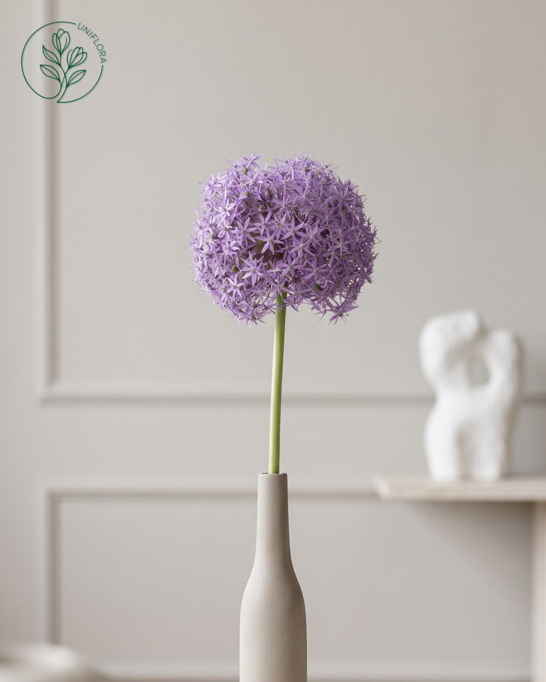 Solo Lilla Allium