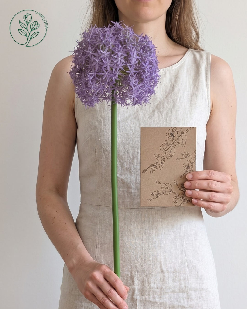 Solo Lilla Allium