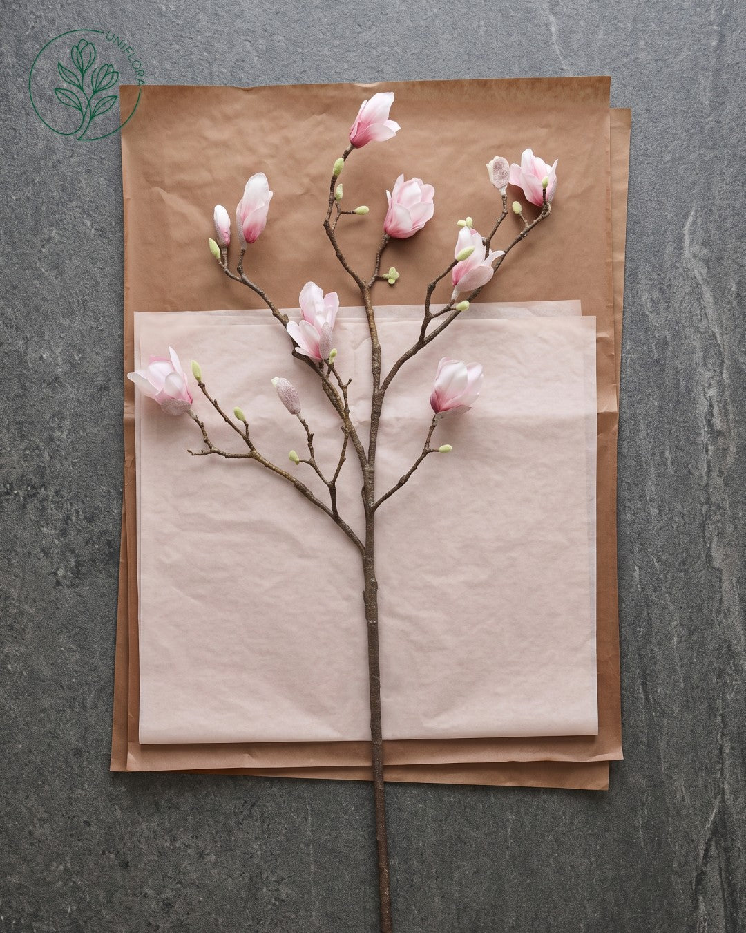 Solo Rosa Magnolia