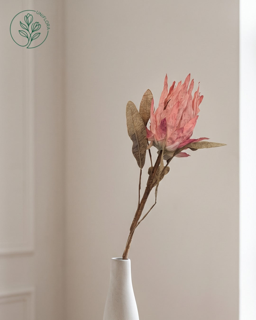 Solo Rosa Protea