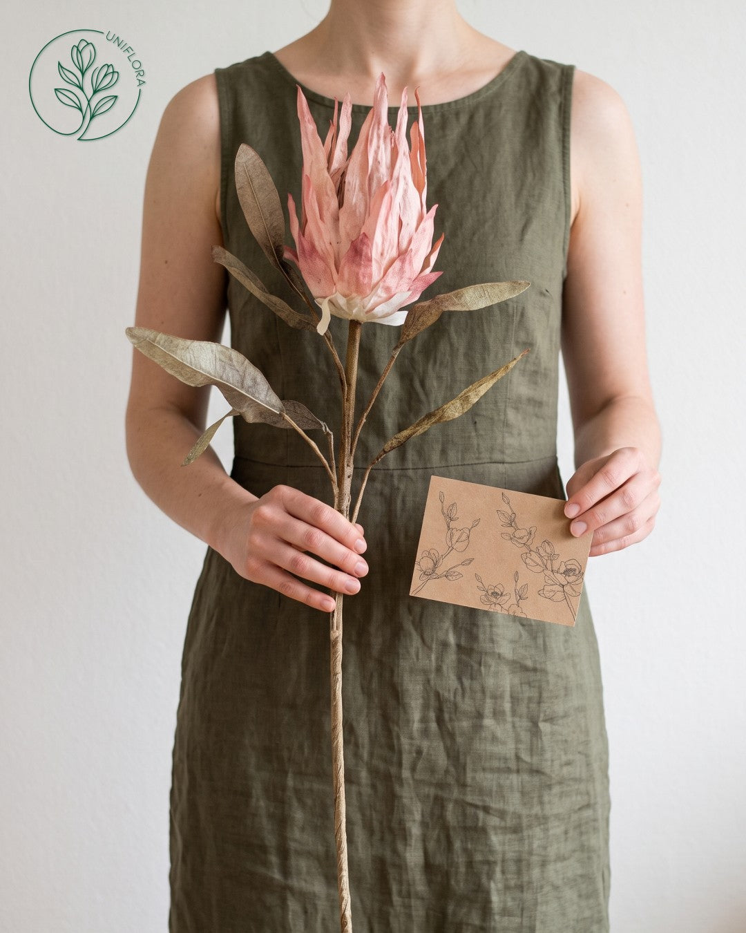 Solo Rosa Protea