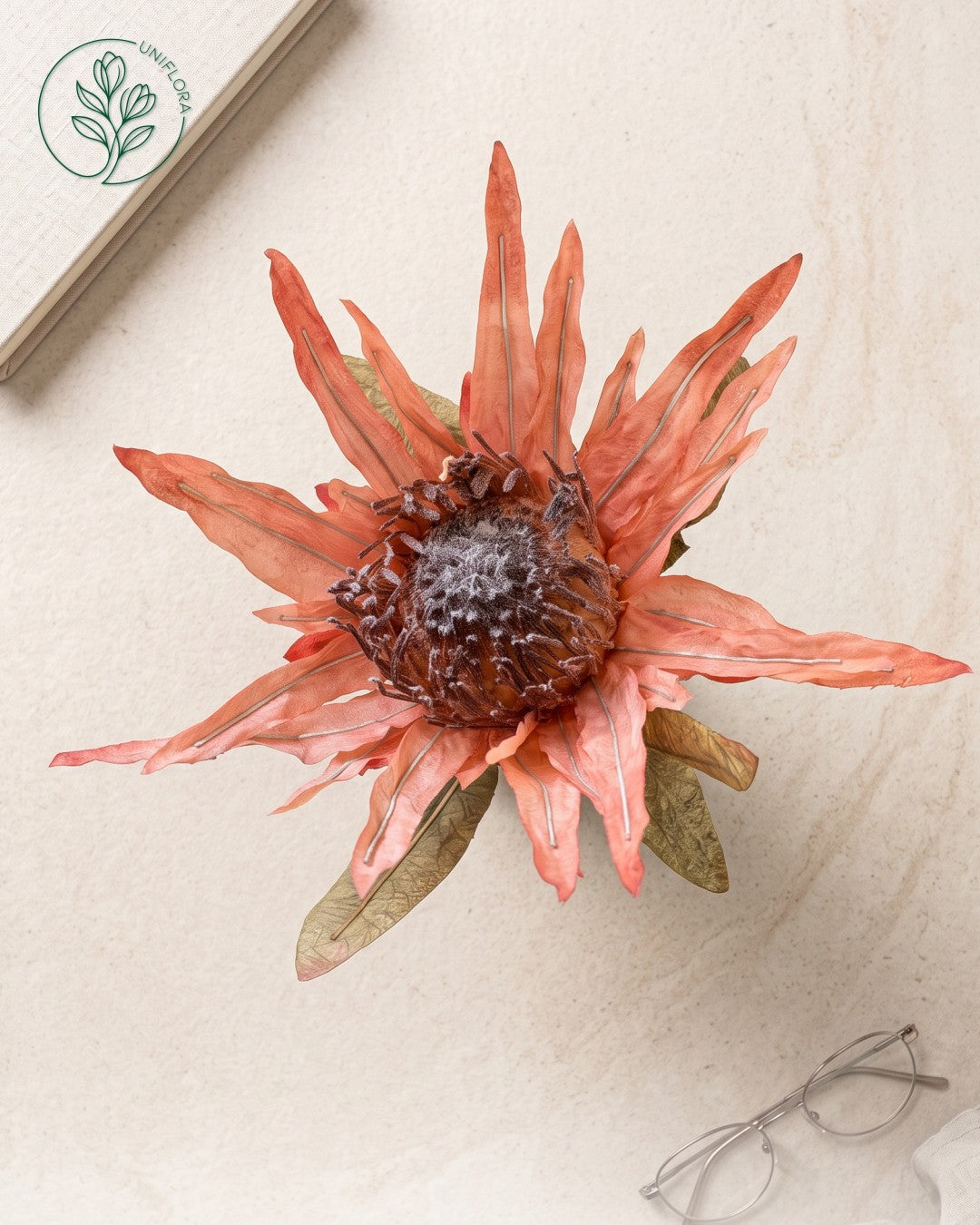 Solo Rosa Protea