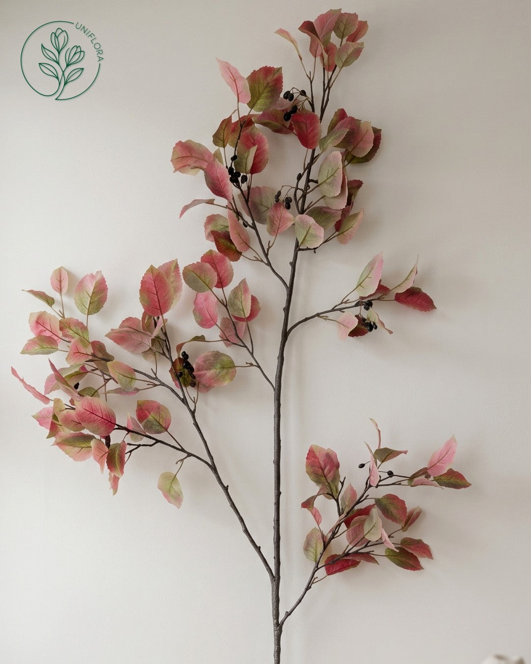 Efterårs Elmegren (230 cm, kun afhentning)