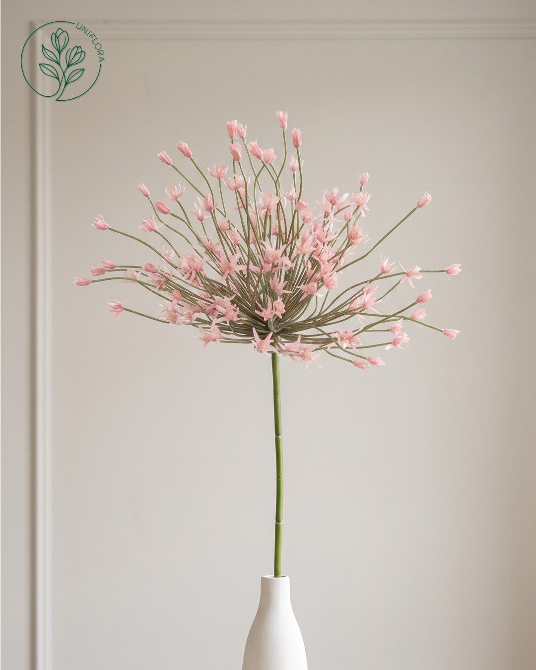 Solo Rosa Allium (stor)