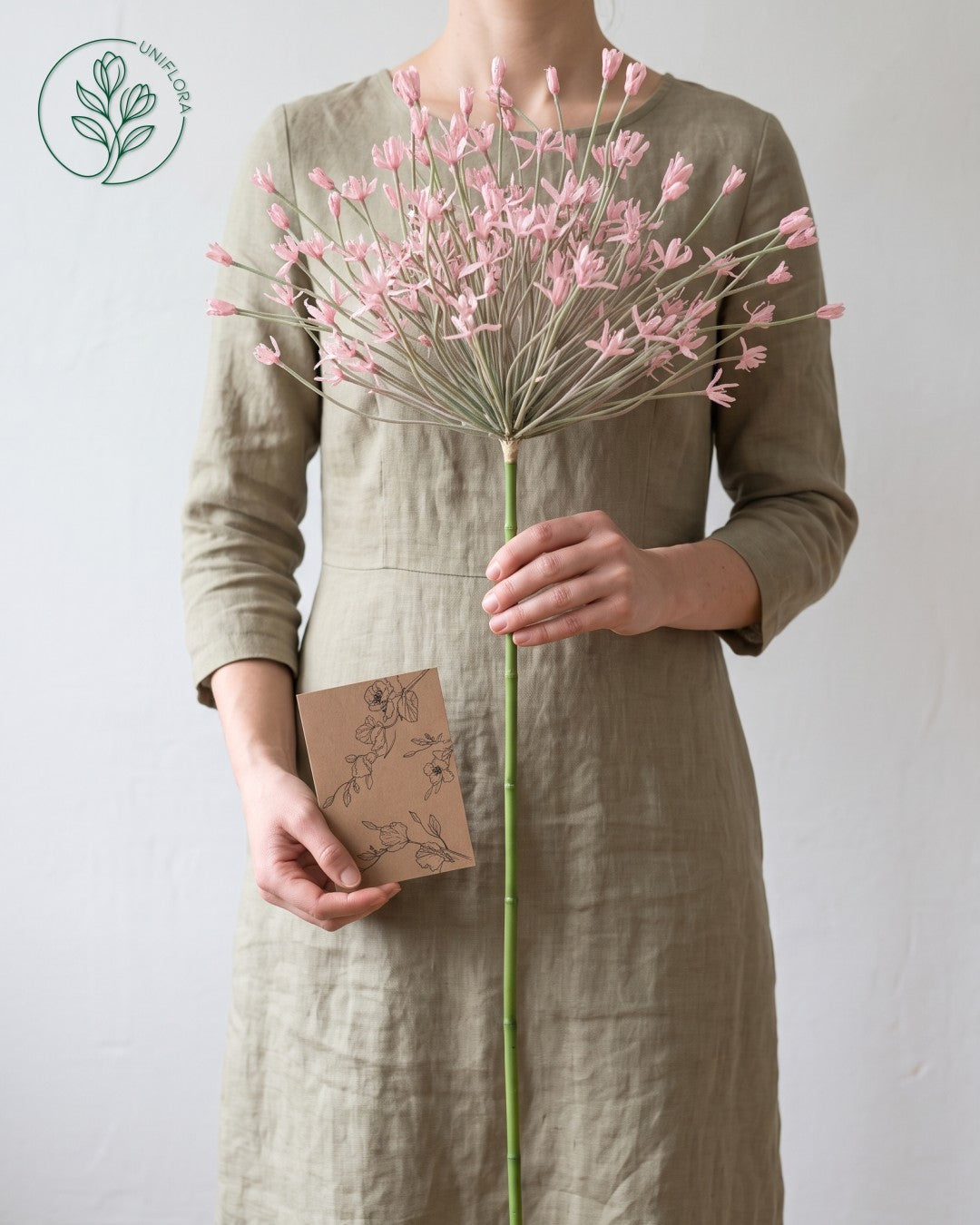 Solo Rosa Allium (stor)