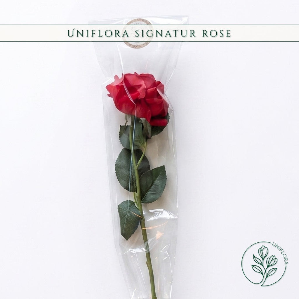 Uniflora Signatur Rose i rød, pakket i klar cellofan. En holdbar evighedsblomst med naturtro, bløde kronblade.