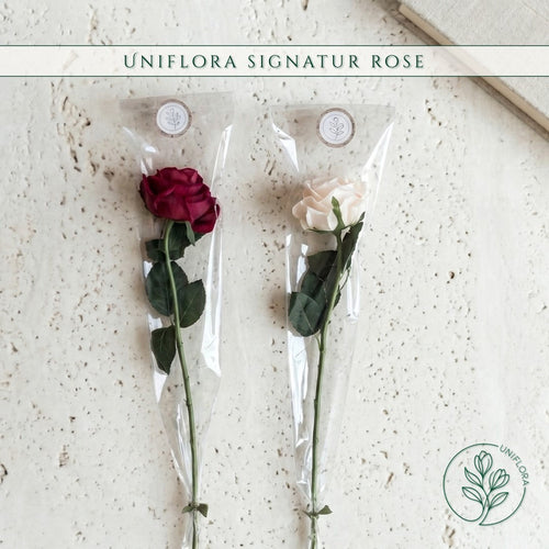 Uniflora Signatur Rose evighedsblomster i rød og hvid, pakket i klar cellofan med naturtro, bløde kronblade.